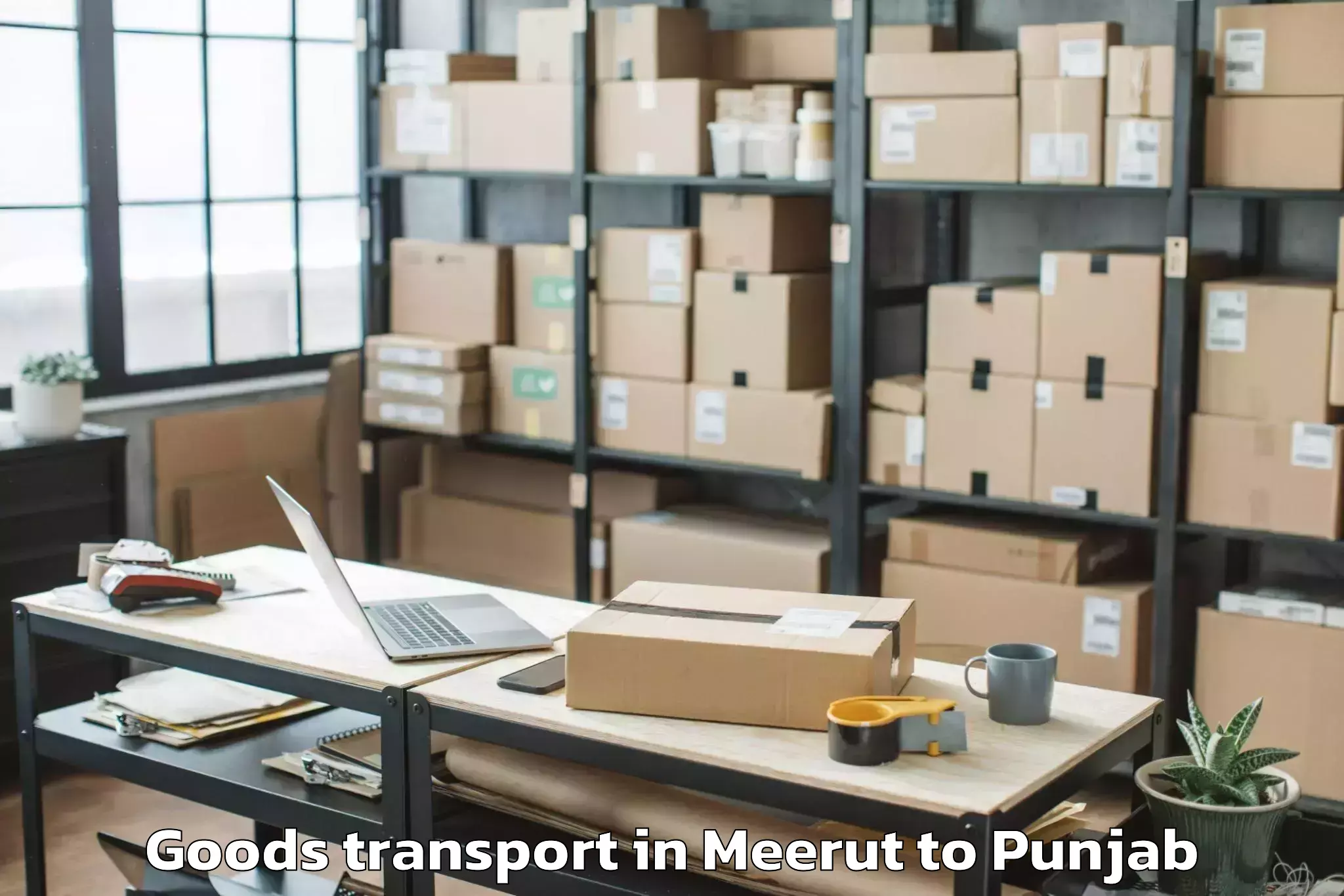 Trusted Meerut to Firozpur Goods Transport